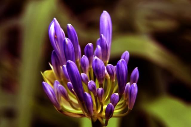 才是真正驅 才是真正驅