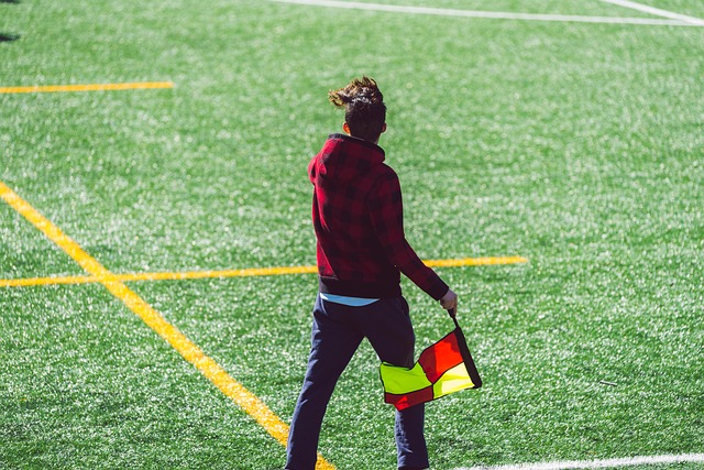 通过精湛的 通过精湛的