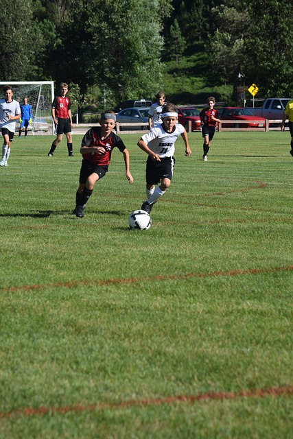 同努力的結 同努力的結