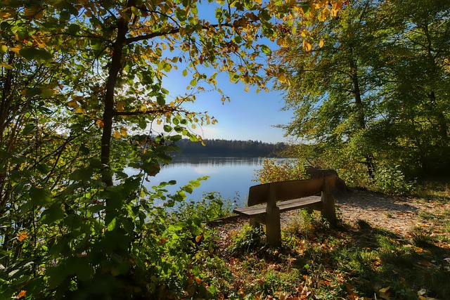 及時發現並 及時發現並