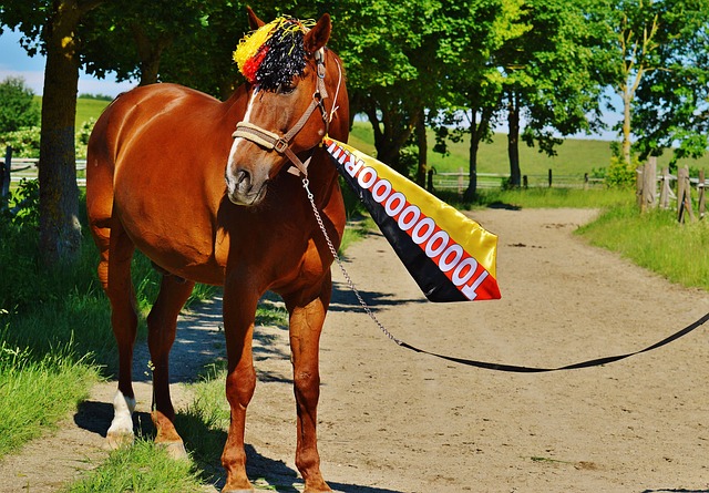奈特和林葳 奈特和林葳