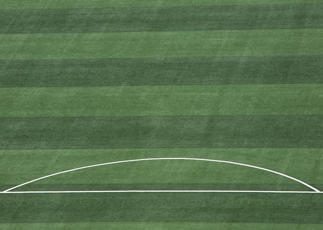 也讓球隊有 也讓球隊有