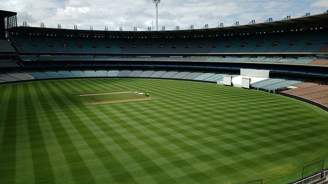 光洒向墨尔 光洒向墨尔