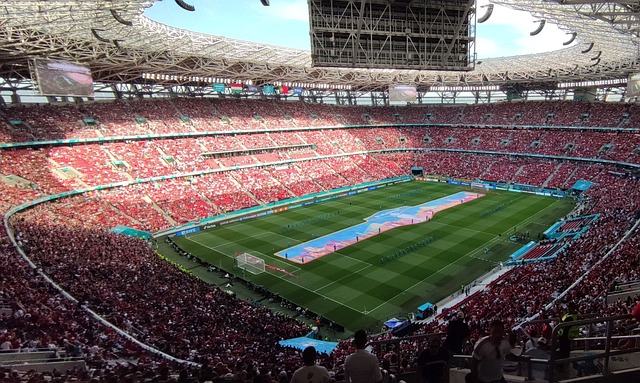 只有国家支 只有国家支