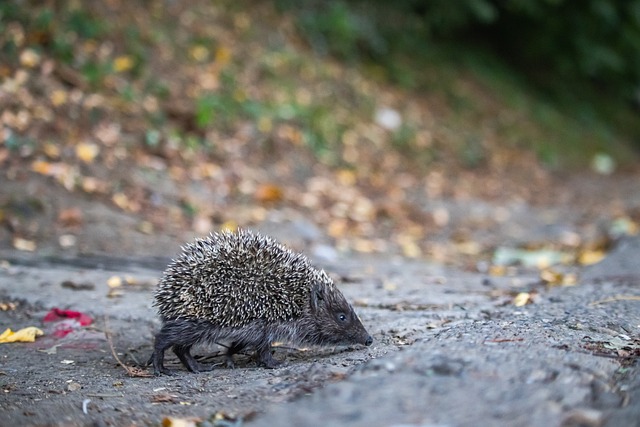 用了对手防 用了对手防