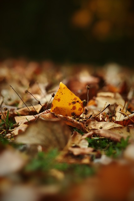 周密的计划 周密的计划