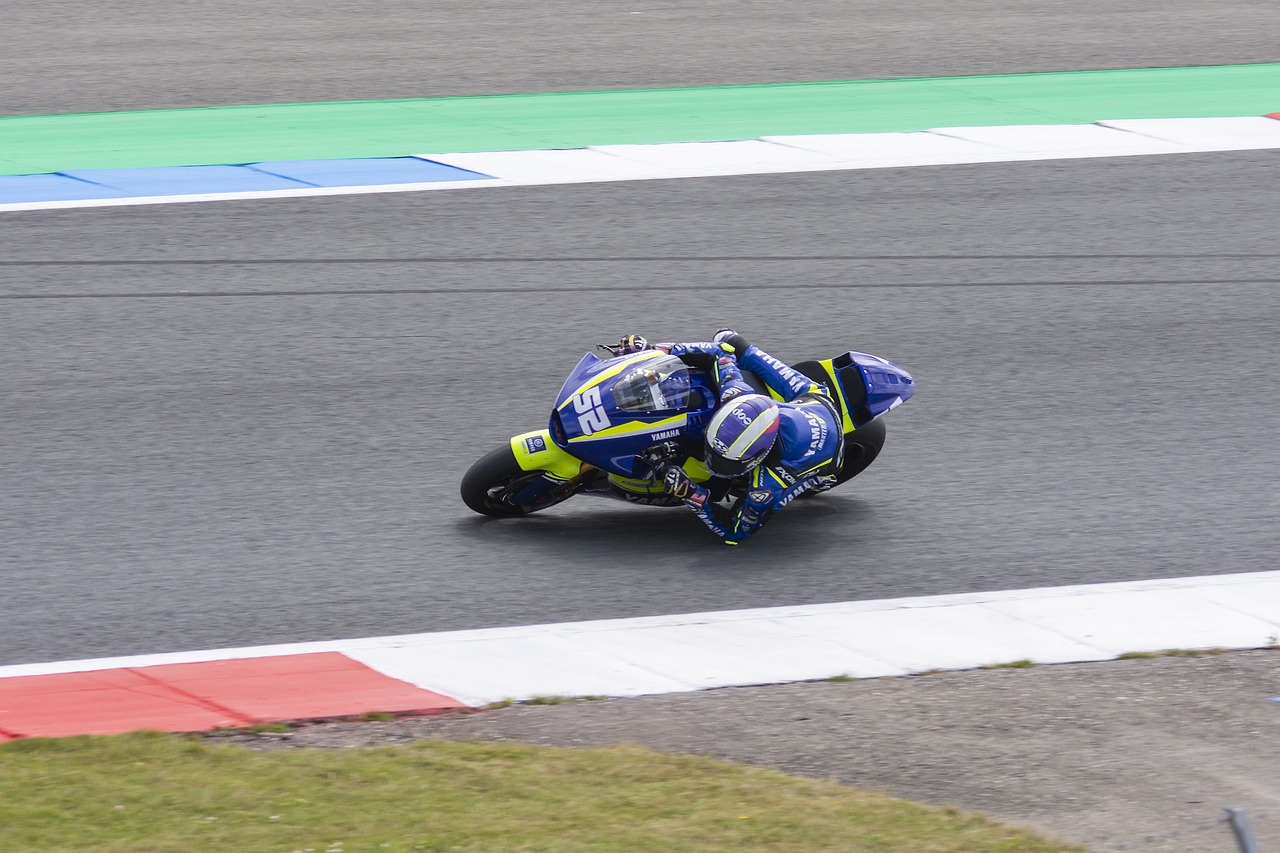 召的可能 召的可能