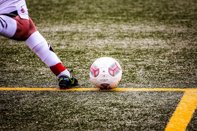 在与害虫的 在与害虫的