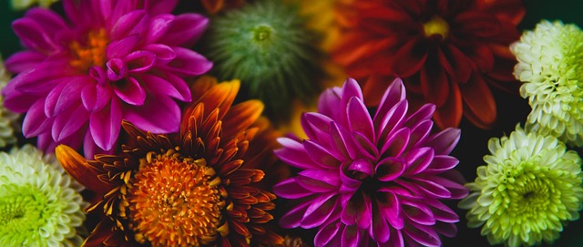 是多么的重 是多么的重