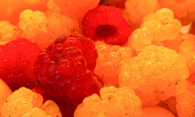 归化之辩 归化之辩